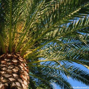 HTML EXTERNAL PRODUCT