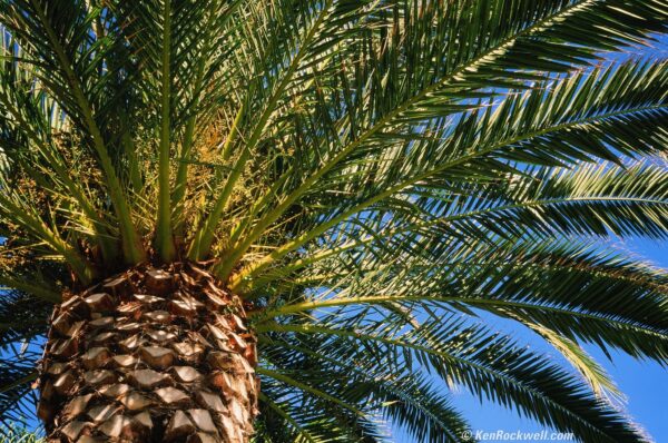 HTML EXTERNAL PRODUCT