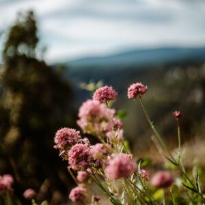 TEST PRODUCT SYNC & UPDATED