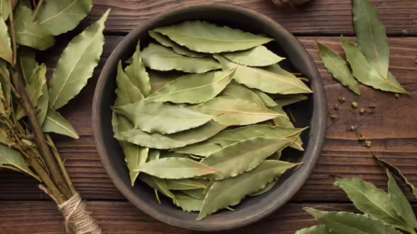 Bay Leaf